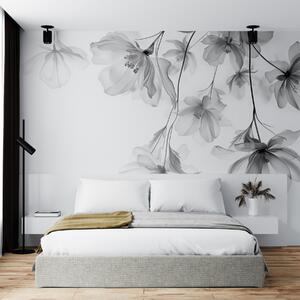 Fototapety Czarne kwiaty z półprzezroczystymi płatkami zwisającymi z gałęzi,, Fototapety Kwiaty, Fototapety Duże kwiaty, w08911 : Uwalls.pl