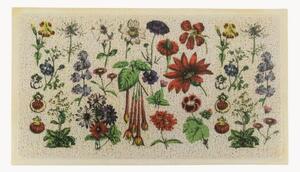 Wycieraczka z możliwością prania Botanicals