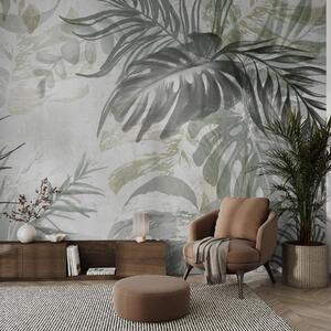 Fototapety Monstera i liście palmy w odcieniach zieleni i szarości, botaniczne, tropikalne liście, rośliny, Fototapety Natura, w09011 : Uwalls.pl