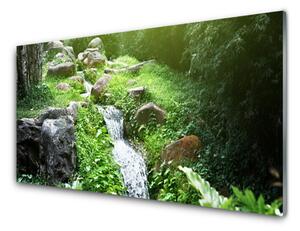 Obraz na Szkle Potok Trawy Natura Roślina