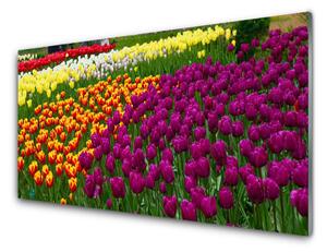 Obraz na Szkle Tulipany Kwiaty