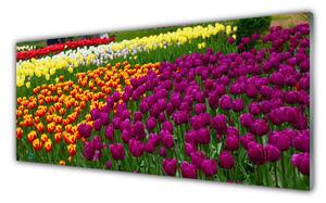 Obraz na Szkle Tulipany Kwiaty