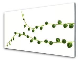 Obraz na Szkle Ozdobna Roślina