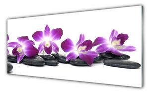 Obraz na Szkle Kwiat Orchidea Spa