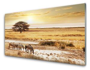 Obraz na Szkle Zebry Safari Krajobraz