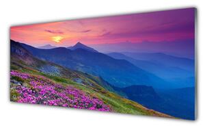 Obraz na Szkle Góry Łąka Kwiaty Krajobraz