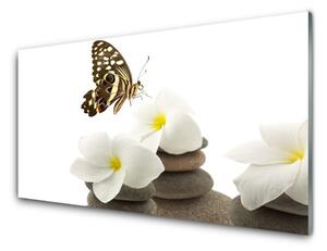 Obraz Szklany Motyl Kwiat Kamienie Roślina