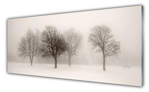 Obraz Szklany Śnieg Drzewa Krajobraz