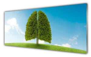Obraz Szklany Trawa Drzewo Płuca Przyroda