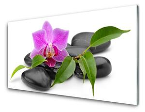 Panel Szklany Orchidea W Nowoczesnym Wydaniu