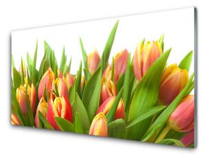 Obraz Szklany Tulipany Kwiaty Roślina