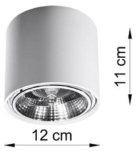 Tiube lampa sufitowa 1-punktowa biała SL.0695