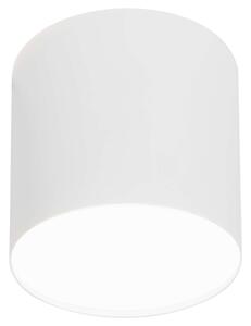 LAMPA sufitowa POINT PLEXI 6525 Nowodvorski metalowa OPRAWA downlight tuba biała - biały