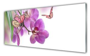 Obraz Szklany Motyle Kwiaty Przyroda