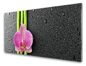 Obraz Szklany Bambus Kwiat Roślina Natura