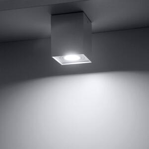 Hadar lampa sufitowa kierunkowa 1xGU10 biała