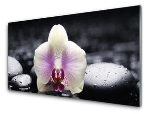 Szkło do Kuchni na Ścianę Biała Orchidea na Płótnie