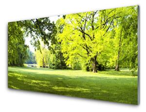 Obraz Szklany Trawa Drzewa Park Przyroda