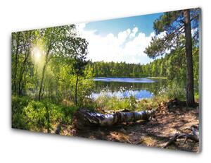 Obraz Szklany Las Drzewa Jezioro Przyroda