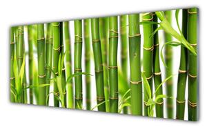 Obraz Szklany Bambusowe Pędy Liście Bambus