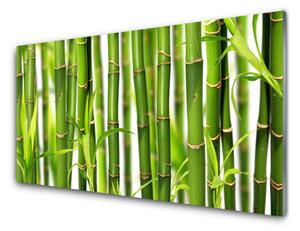 Obraz Szklany Bambusowe Pędy Liście Bambus