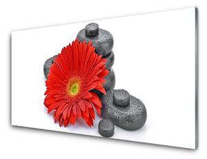 Panel Szklany Wyrazista Czerwona Gerbera