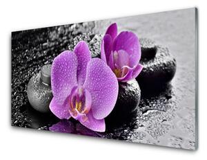 Obraz Szklany Storczyk Kwiaty Orchidea Spa