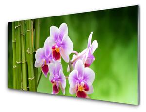 Obraz Szklany Bambus Storczyk Kwiaty Zen