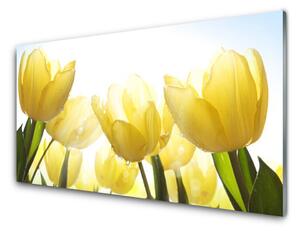 Obraz Szklany Tulipany Kwiaty Promienie