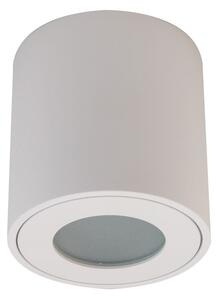 Aqua IP54 lampa sufitowa tuba biała do łazienki