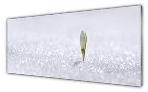 Obraz Szklany Przebiśnieg Śnieg Zima