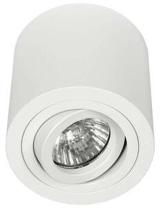 Spot LAMPA sufitowa Rullo Bianco Orlicki Design regulowana OPRAWA metalowa downlight tuba biała - biały