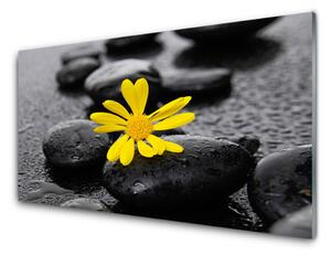 Obraz Szklany Żółty Kwiat Spa Przyroda