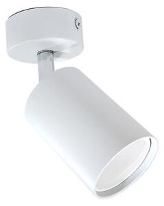 Bardo lampa sufitowa (spot) 1-punktowa biała/chrom