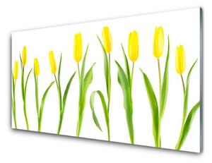 Obraz Szklany Żółte Tulipany Kwiaty