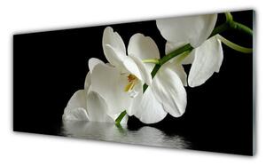 Obraz Szklany Orchidea w Wodzie Kwiaty