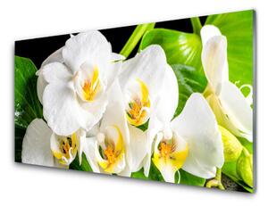 Obraz Szklany Orchidea Kwiaty Natura