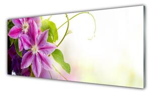 Obraz Szklany Kwiaty Natura Przyroda
