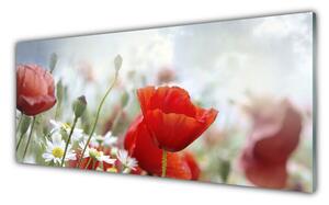 Obraz Szklany Kwiaty Płatki Roślina