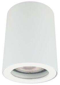 Sufitowa LAMPA tuba FARO LP-6510/1SM WH Light Prestige metalowy downlight IP65 okrągły biały - biały