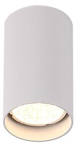 Natynkowa LAMPA sufitowa PET ROUND C0141 Maxlight downlight OPRAWA metalowa tuba biała - biały