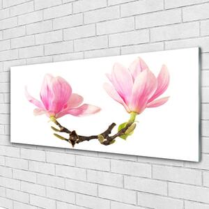 Obraz na Szkle Kwiaty Na Ścianę