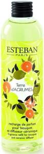 Olejek do pachnących pałeczek - Esteban Paris - Terre d'Agrumes - Kraina Cytrusów - 250ml
