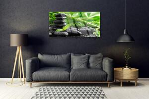 Obraz na Szkle Bambus Pędy Roślina