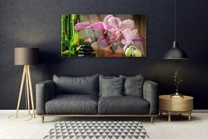 Obraz na Szkle Kwiaty Bambus Roślina