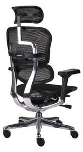 Ergonomiczny fotel biurowy Ergohuman Elite 2 BS Black - czarny nowoczesny fotel siatkowy