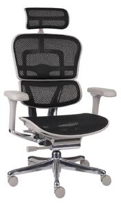 Fotel biurowy Ergohuman 2 Elite GS Black, czarny, ergonomiczny, siatkowy