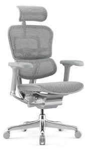 Fotel biurowy Ergohuman 2 Elite GS Grey - szary ergonomiczny fotel siatkowy