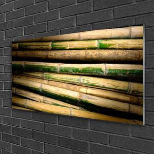 Obraz na Szkle Bambus Roślina Natura
