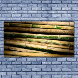 Obraz na Szkle Bambus Roślina Natura